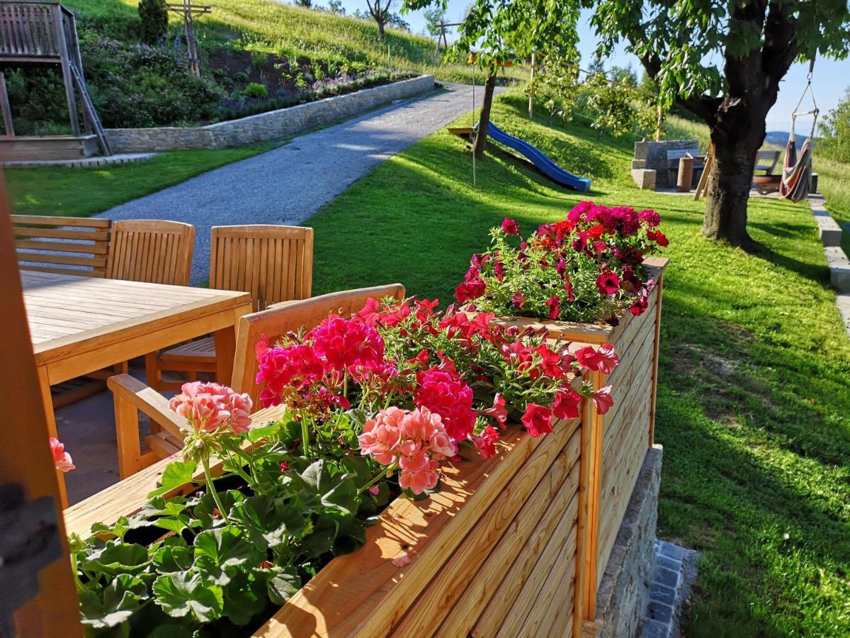 Bed and Breakfast Kleinhofers Himbeernest Anger  Экстерьер фото