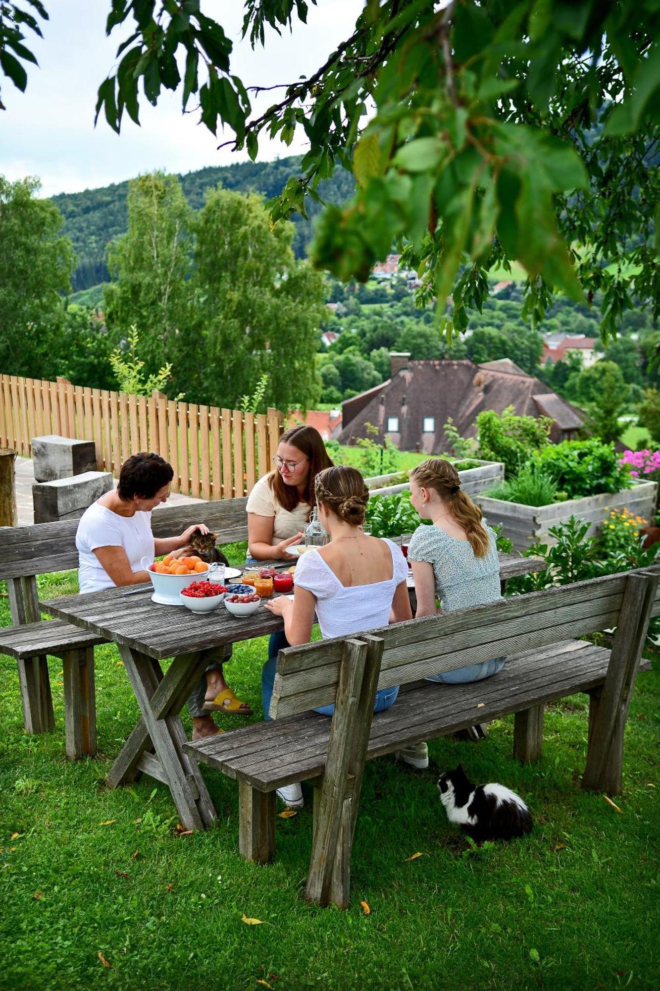 Bed and Breakfast Kleinhofers Himbeernest Anger  Экстерьер фото